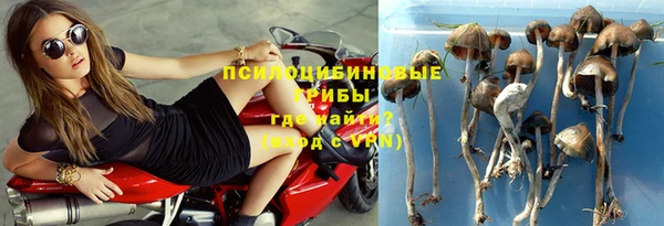 винт Белокуриха